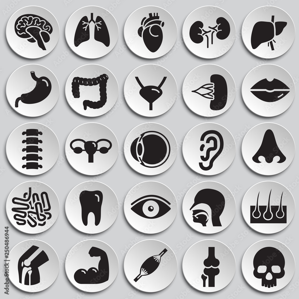 Poster human organs set on plates background for graphic and web design, modern simple vector sign. interne
