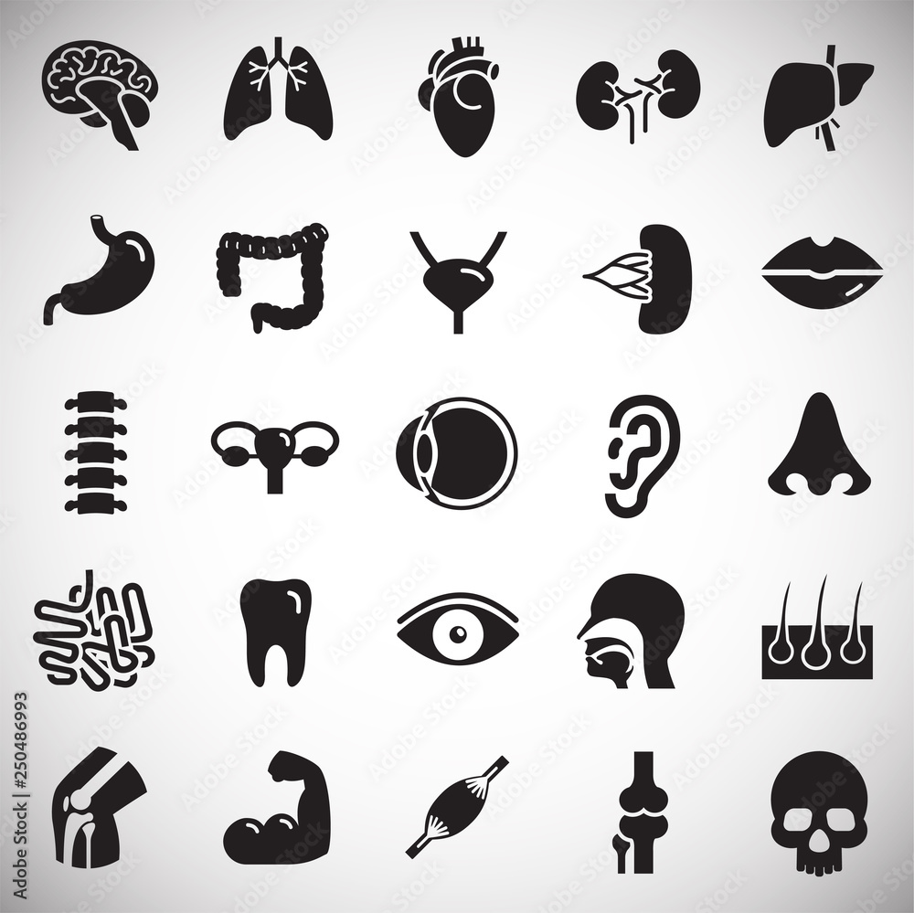Poster human organs set on white background for graphic and web design, modern simple vector sign. internet
