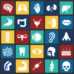 Human organs set on color squares background for graphic and web design, Modern simple vector sign. Internet concept. Trendy symbol for website design web button or mobile app