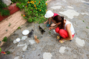 Mother and son play with little colorful cat on the stone pavement in medieval monastery in Mystras, Greece