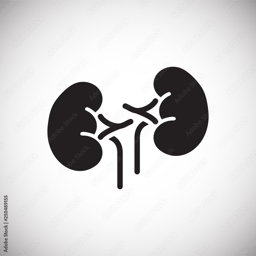Poster kidneys icon on white background for graphic and web design, modern simple vector sign. internet con