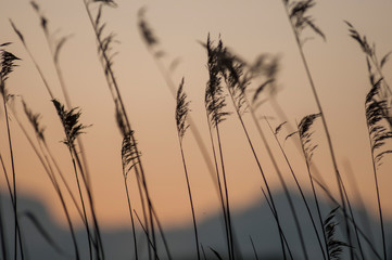 sunset lake landscape