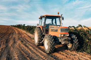 Fototapeta premium Tractor in a vineyard