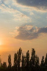 Landscape with dramatic light - beautiful golden sunset with saturated sky and clouds.