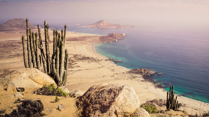 Coast of Pan de Azucar National Park in Chile. Atacama desert coast and cactus