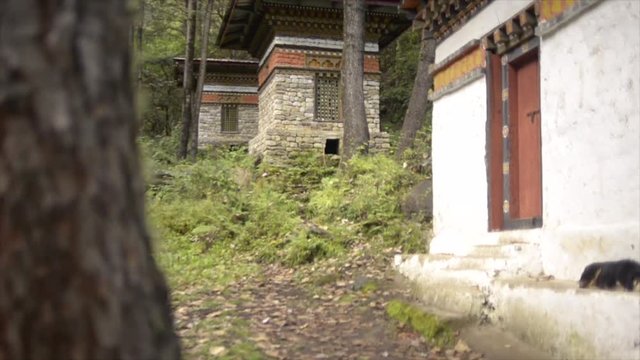 Buthan - Tiger's Nest