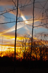 Fototapeta premium Silhouettes of a leafless tree branches on colorful sunset and cloudy blue sky with plane trail as a backgrond. Autumn in Finland.