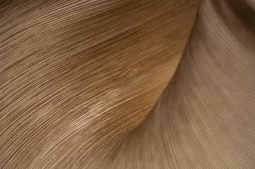 paper lamp, light, shadow, pattern