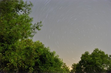 water, waterfall, river, landscape, nature, falls, sky, lake, forest, tree, green, cascade, trees, fog, fall, clouds, summer, travel, niagara, morning, view, stream, waterfalls, blue, mist
