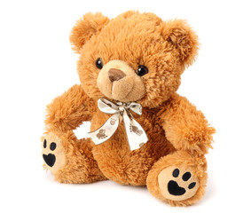 toy teddy bear isolated on white background