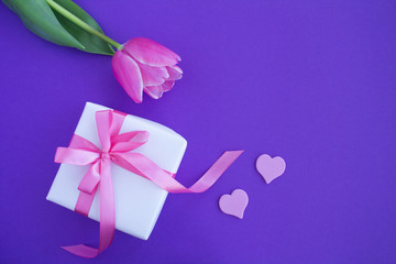 Gift with pink bow ,one pink tulip and two small pink hearts  on the violet background.Top view.Closeup.