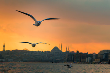Istanbul sunset from a cruise boat