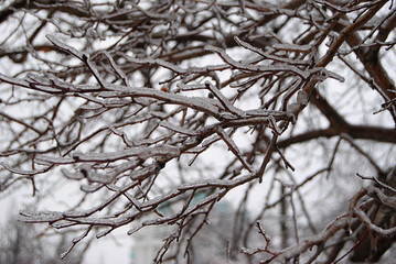 ice