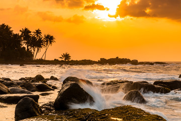Beautiful sunset on the beach with palms on a Caribbean island