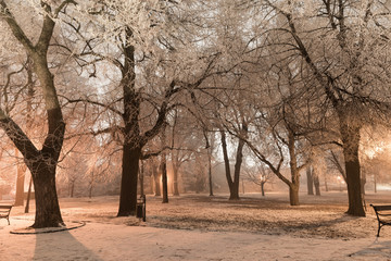 Castle park covered by snow and frost with street lights during very cold winter night