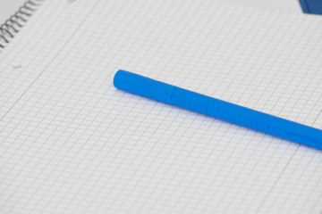 Blauer Filsstift auf Blatt