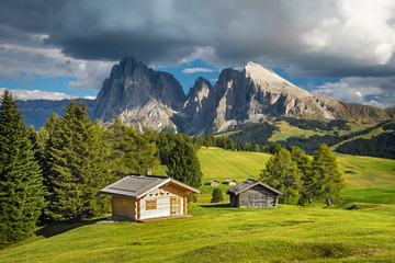 Fototapeta na wymiar Alpe di Siusi - Seiser Alm with Sassolungo - Langkofel mountain group in background at sunset. Flowers and wooden chalets in Dolomites, Trentino Alto Adige, South Tyrol, Italy, Europe