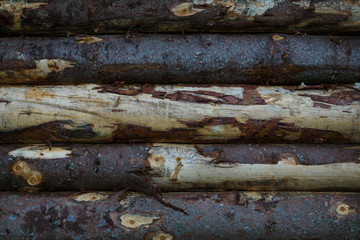 Fragment of an old log wall of raw logs. Texture.