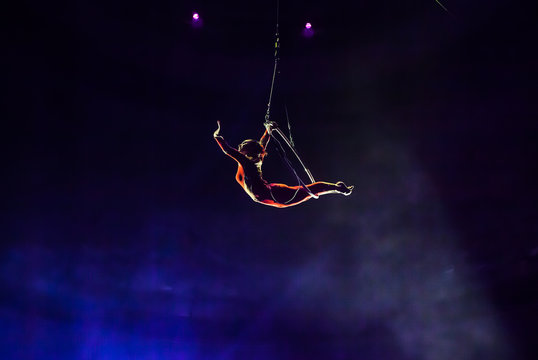 air circus performances in the circus