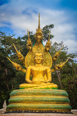 Fototapeta premium Beautiful golden Buddha statue with seven Phaya Naga heads under white clouds and blue sky background. Outdoor golden seated Buddha image protected by 7 heads Naga spreads cover on top in cloudy days.