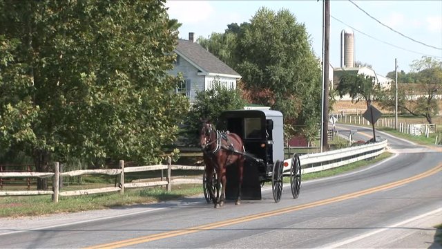 Amish horse and buggy next to farm in Lancaster, Pennsylvania