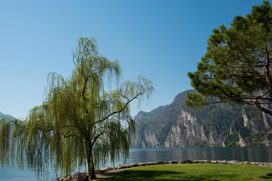 Die Vielfallt der Natur