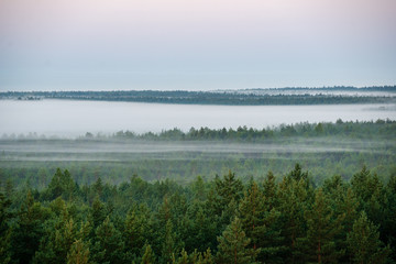 colorful sunrise sunset in misty summer meadow