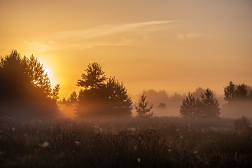 Fototapeta na wymiar colorful sunrise sunset in misty summer meadow