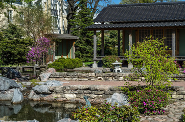 Beautiful flowering Japanese garden with pink sakura and shrubs. Japanese courtyard with a pagoda and stone paths in the middle of a green meadow.