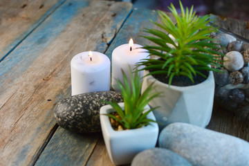 Obraz na płótnie Canvas Home decor and plants. Succulents, candles decor on a wooden table.