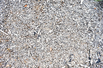 soil texture in the garden
