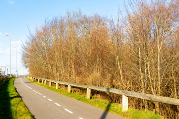 Paisaje urbano invernal