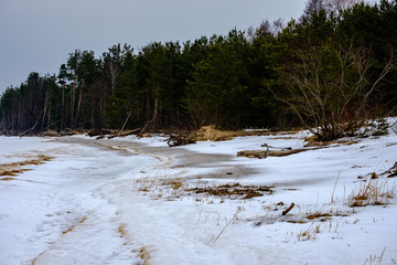 frozen ice blocks on sea beach in winter