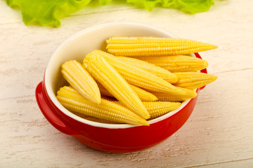 Young baby corn