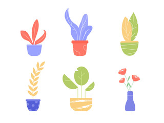 Set of different flowers and plants in pots. Vector illustration isolated on white background.