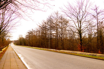 Paisaje urbano oto&ntilde;al