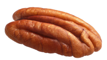 Shelled pecan half c. illinoinensis, paths