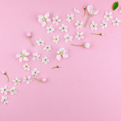 Obraz na płótnie Canvas White spring cherry tree blooming flowers pattern