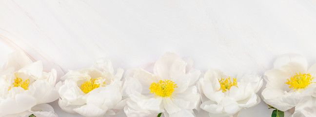 White peony flowers on marble background