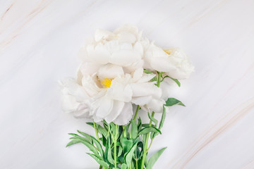 White peony flowers on marble background