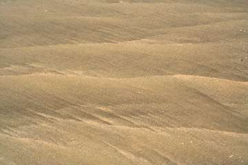 Sand  on the coast of Saint Aubin sur Mer