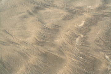 Sand  on the coast of Saint Aubin sur Mer