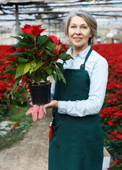 Happy female with Poinsettias in her greenhouse