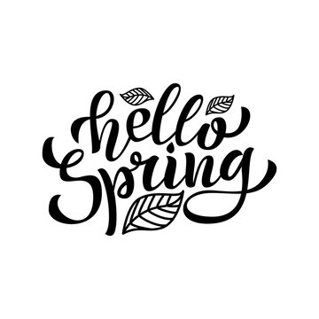 Hello Spring hand Lettering. Vector.