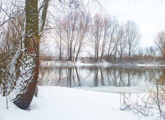 Winter landscape.