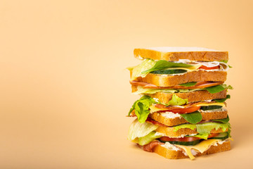 Whole tasty sandwich concept