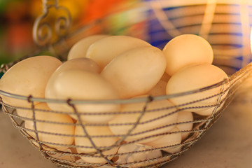 White crocodile eggs were collected in a steel basket before putting in the incubator in crocodile farm.