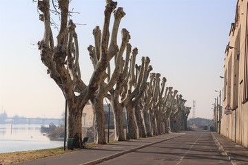 QUAIS DE LA RIVIERE SAONE A MACON - QUAI DES MARANS - SAONE ET LOIRE - BOURGOGNE