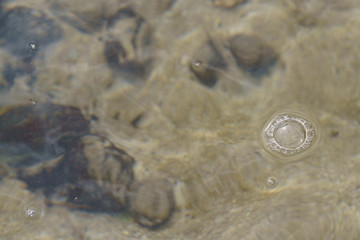 Calm surf of Atlantic ocean in the Grand Canaria island