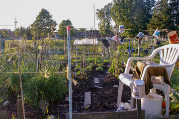 Small Organic garden showing multiple plots of vegetables